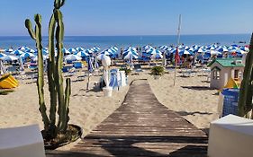 Mizzika Vacanze